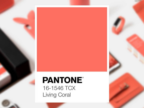 LIVING CORAL GIVES US LIFE!